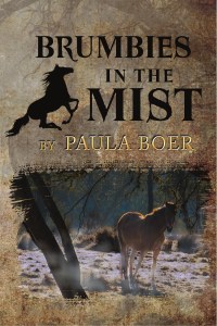 Brumbies in the Mist 2nd Ed Front Cover