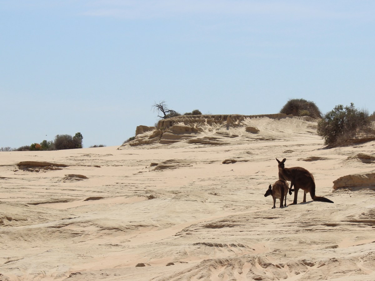 Lake Mungo